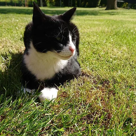 Bauernhof Urlaub Nr 2 - 2-personen *